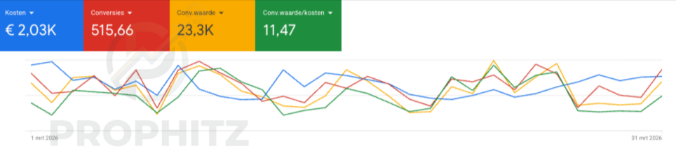 Google Ads resultaat ROAS 11,47x Lelystad